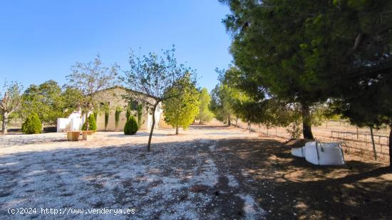 SOLAR CON CASA  MUY CERCA DE RICOTE - MURCIA