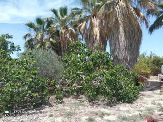 Casa con terreno en la huerta de Zeneta - MURCIA