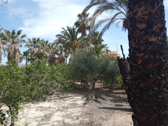 Casa con terreno en la huerta de Zeneta - MURCIA