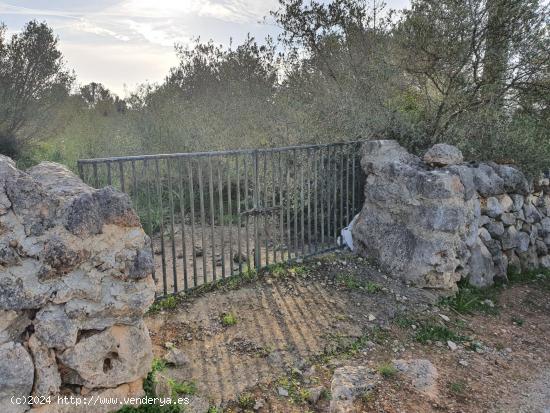  5 SOLARES URBANO (SA CABANETA) PARA 5 CHALETS UNIFAMILIARES CON VISTAS A LA BAHIA (ru800) - BALEARES 