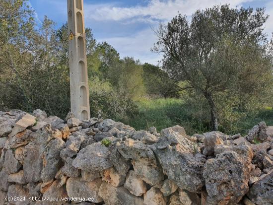 5 SOLARES URBANO (SA CABANETA) PARA 5 CHALETS UNIFAMILIARES CON VISTAS A LA BAHIA (ru800) - BALEARES