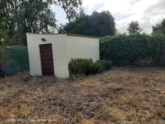 PARCELA RÚSTICA EN MEDINA SIDONIA (A 3 Kms de Benalup) - CADIZ