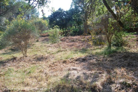 Suelo rústico en venta  en Sant Celoni - Barcelona