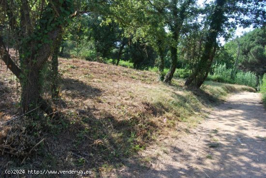 Suelo rústico en venta  en Sant Celoni - Barcelona