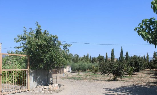  Suelo rústico en venta  en Vilallonga del Camp - Tarragona 