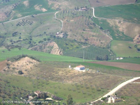 Casa de campo-Masía de Obra Nueva en Venta en Antequera Málaga