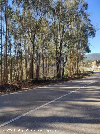 Se vende terreno rustico con arboles de 2200 m2 Tui