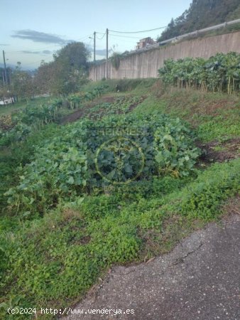 Se vende terreno rústico en Redondela, Saxamonde