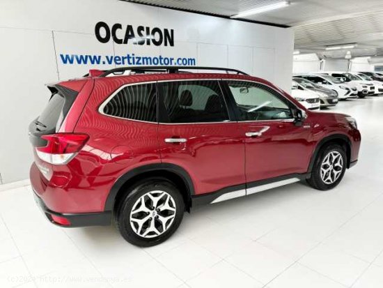 Subaru Forester Híbrido ( 2.0i Hybrid Executive Plus CVT )  - Astigarraga