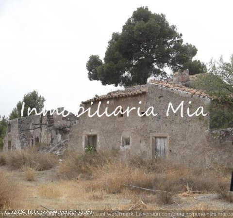 SE VENDE GRAN FINCA EN LORCA