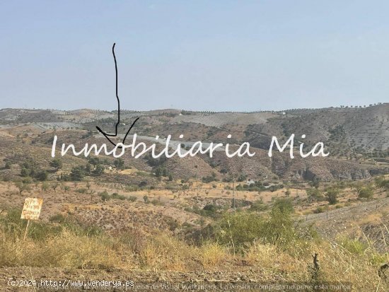 SE VENDE GRAN FINCA EN LORCA