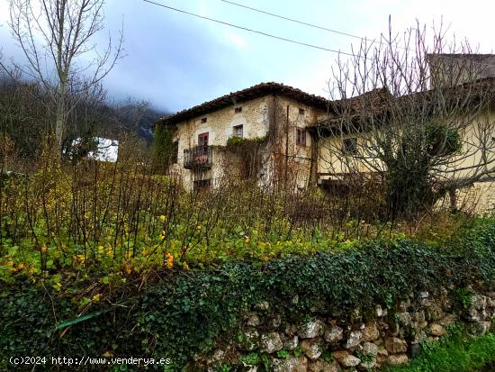 DOS CASAS ADOSADAS PARA REFOMAR EN VALLE DE MENA - BURGOS