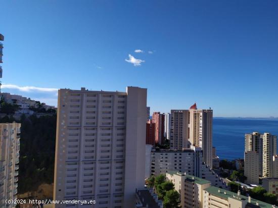 Reformado apartamento con terraza acristalada 12 m2 y vistas espectaculares al mar y Benidorm. - ALI