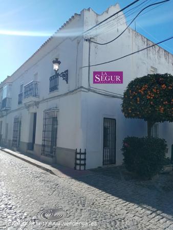 LOCAL COMERCIAL EN PLENO CENTRO - CADIZ