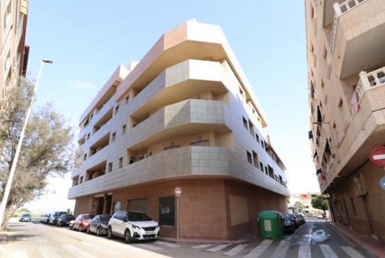 Apartamento en La Mata. - ALICANTE