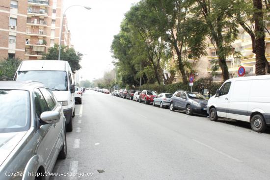 Magnífico piso en de Los Remedios sin Amueblar. - SEVILLA