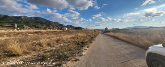 SE VENDE TERRENO EN LOS VERGELES (ABARAN) - MURCIA