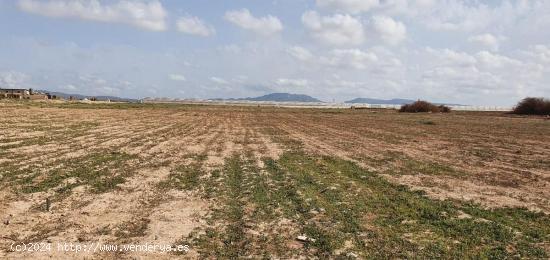 SE VENDE FINCA RUSTICA EN LOS MARTINEZ DEL PUERTO - MURCIA