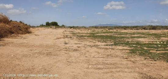 SE VENDE FINCA RUSTICA EN LOS MARTINEZ DEL PUERTO - MURCIA