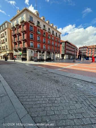  Se Alquila en Valladolid - VALLADOLID 