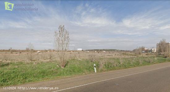 Finca Rustica de Regadio en Aranda de Duero, Burgos - BURGOS