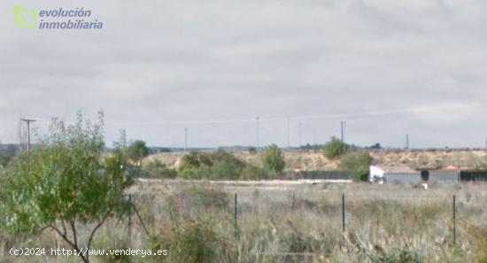 Finca Rustica de Regadio en Aranda de Duero, Burgos - BURGOS