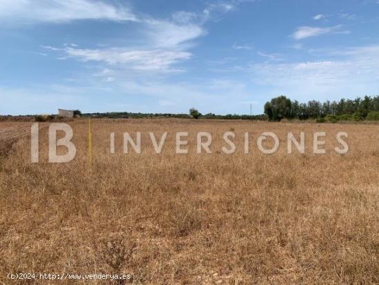 Se Vende en Manacor - BALEARES