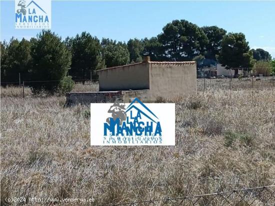 REF: C228 INMOBILIARIA LA MANCHA VENDE TERRENO RUSTICO ZONA RINCON DEL MORO (CASAS VIEJAS) - ALBACET