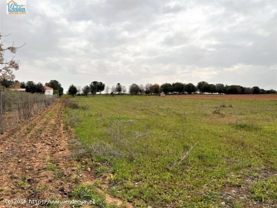 TERRENO EN VENTA POR LA LOCALIDAD DE MENGABRIL - BADAJOZ