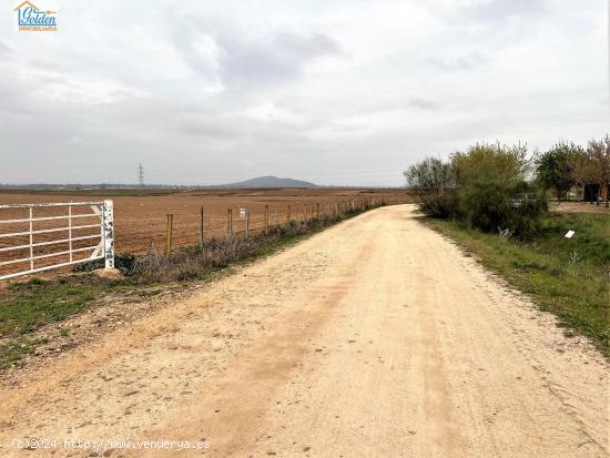 TERRENO EN VENTA POR LA LOCALIDAD DE MENGABRIL - BADAJOZ