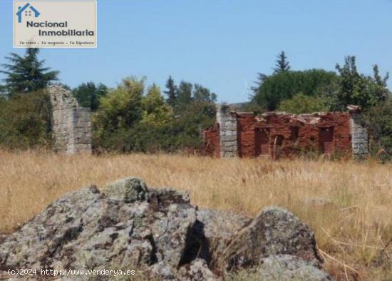 Terreno urbano para construir chalets. - AVILA