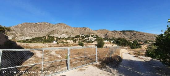 TERRENO RUSTICO EN ORXETA - ALICANTE