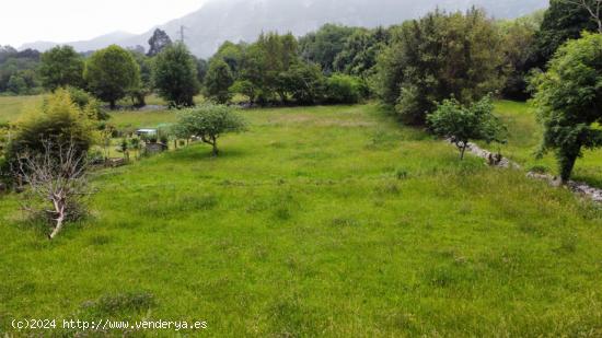 FINCA EDIFICABLE A 3 KM DE LA PLAYA - ASTURIAS