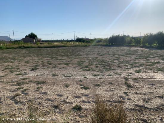 Terreno industrial en la carretera Beniel Zeneta - MURCIA