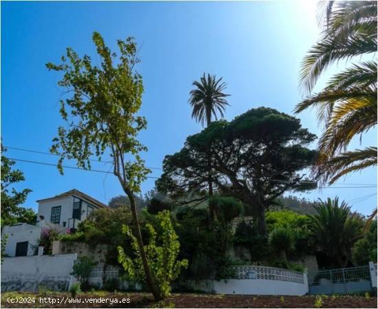 CASA CANARIA CON FINCA RUSTICA, TEGUESTE - SANTA CRUZ DE TENERIFE