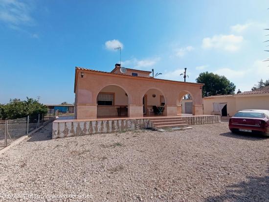  Chalet en Elche pedanias zona Derramador con amplio terreno y casa de invitados - ALICANTE 