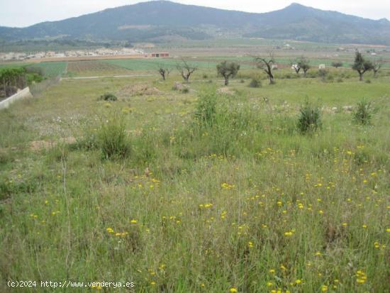 SE VENDE PARCELA EN HONDON DE LAS NIEVES - ALICANTE