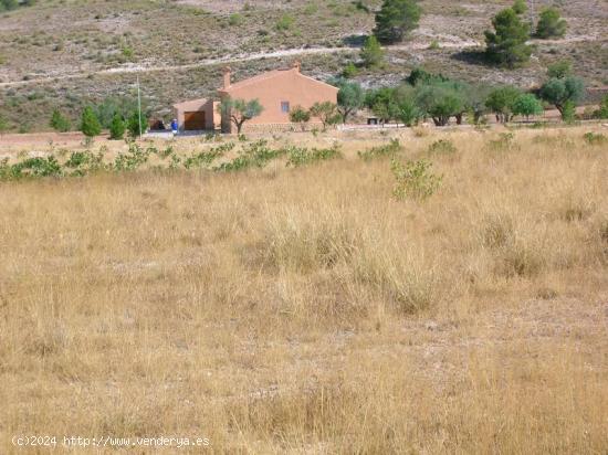  Se Vende en Hondon de las Nieves - ALICANTE 