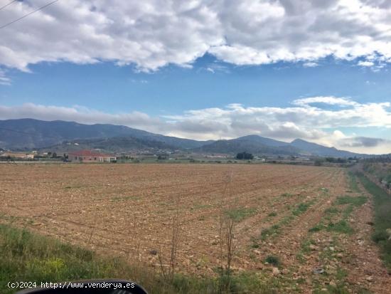 SE VENDE PARCELA EN HONDÓN DE LAS NIEVES - ALICANTE