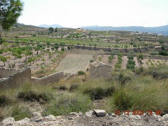 SE VENDE PARCELA EN MACISVENDA - MURCIA