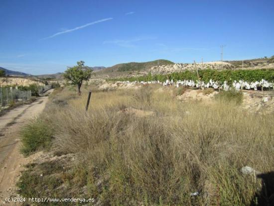 TERRENO LA ROMANA - ALICANTE