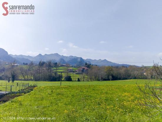 Terreno urbano en La Cavada - CANTABRIA