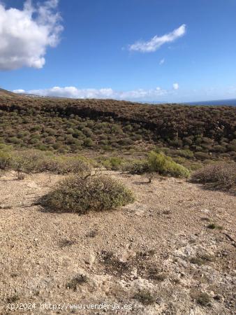 Terreno Fasnia Costa - SANTA CRUZ DE TENERIFE