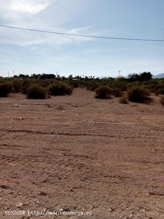 PARCELA DE 26.000 M2- SEGRAGABLE en 2- ZONA LLANO SAN JOSÉ/MATOLA - ALICANTE