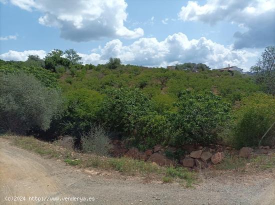 Se vende finca Rústica/agrícola en zona Cortijo Don Carlos, Campanillas - MALAGA