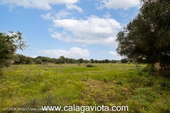 Finca rustica en esquina de 14.000 metros - BALEARES