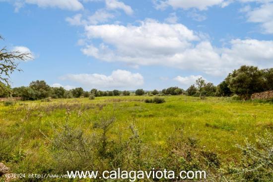 Finca rustica en esquina de 14.000 metros - BALEARES