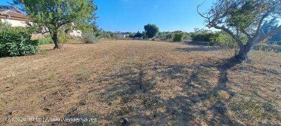 CASA DE CAMPO EN ZONA MARQUESADO - CADIZ