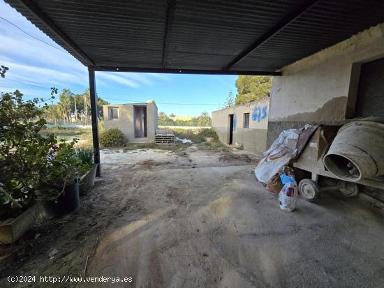 CASA DE CAMPO EN DAIMÉS (ELCHE) - ALICANTE