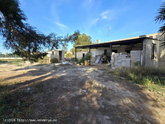 CASA DE CAMPO EN DAIMÉS (ELCHE) - ALICANTE